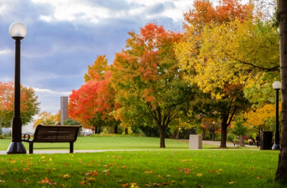 加拿大留學簽證常見問題