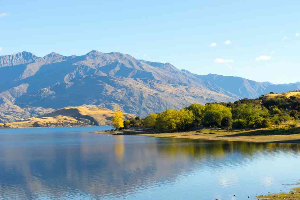 高考&留學雙規劃：新西蘭本科留學申請方案！