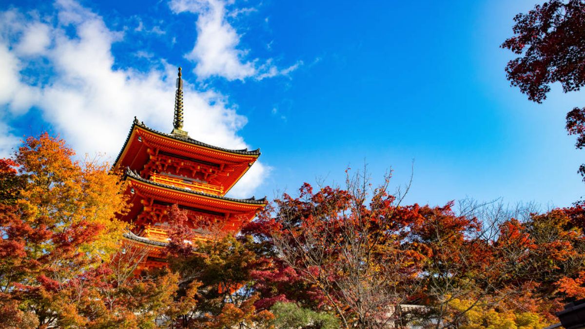 日本經營管理簽證辦理必讀