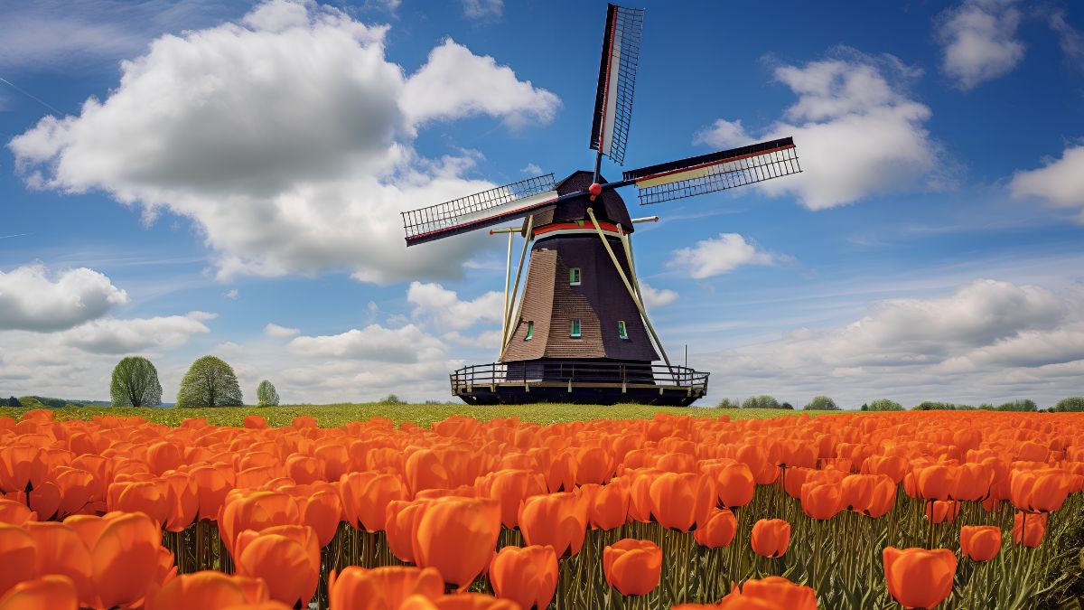 為什么選擇荷蘭留學？荷蘭留學常見問題解答