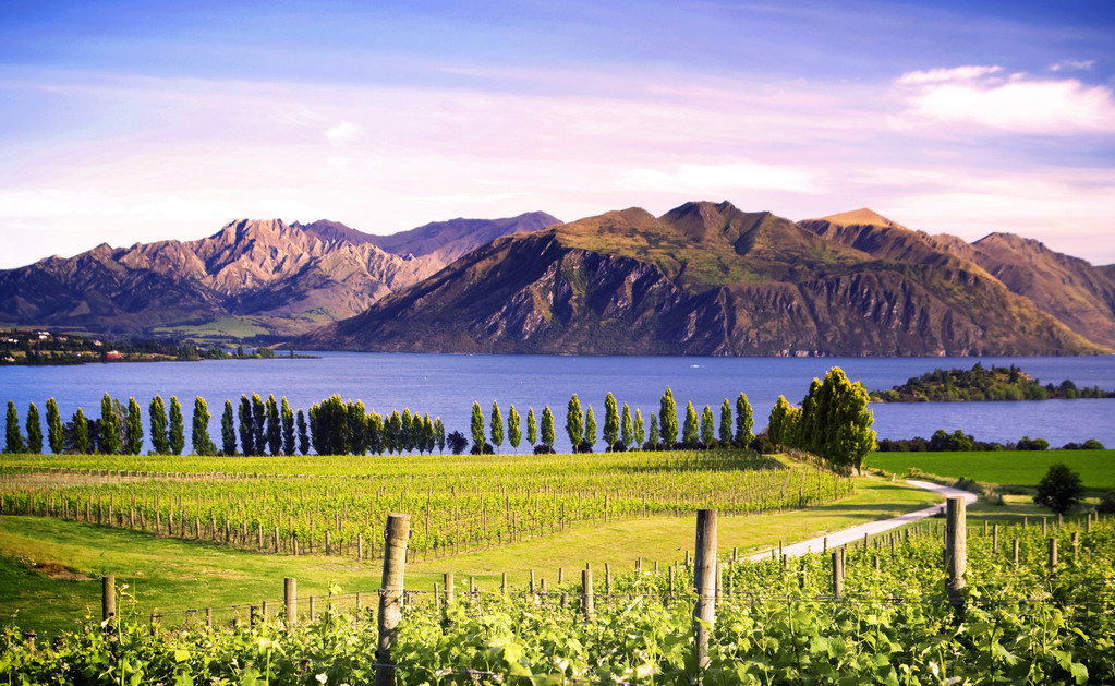 新西蘭多個新規官宣：學簽、工簽、居留均有新變化